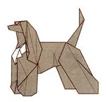 Afghan hound