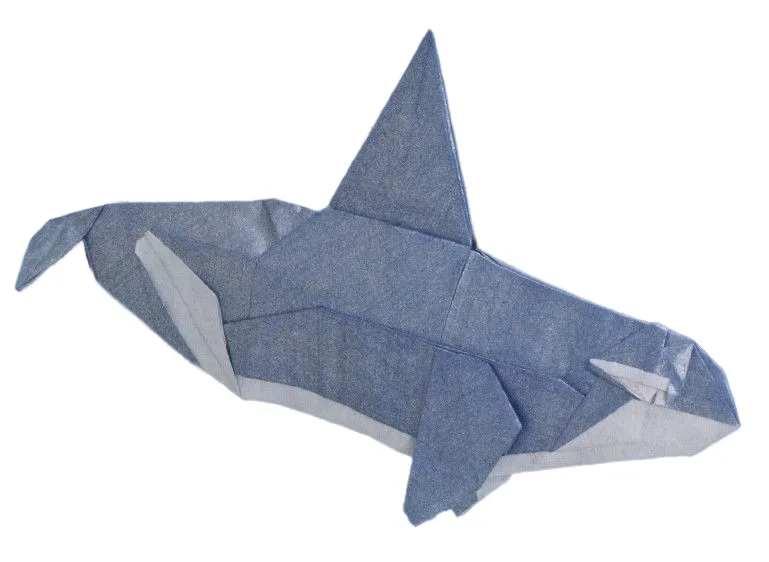 Orca