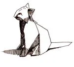 Cat - seated