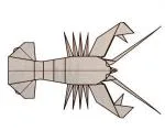 American lobster