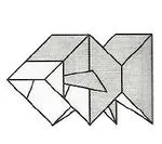 Goldfish type square