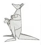 Kangaroo
