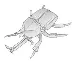 Samurai helmet beetle 2.1
