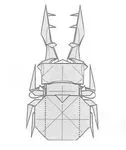 Lucanus stag beetle