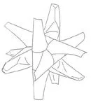 Bamboo star