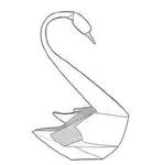 Swan