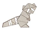 Raccoon