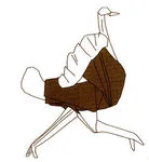 Ostrich