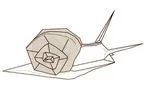 Snail