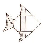 Banded angelfish