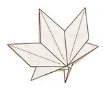 Maple leaf