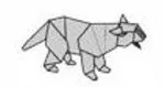 Tsushima cat - Leopard cat