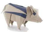 Wild boar piglet