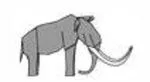 Mammoth