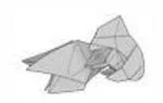 Fantail goldfish