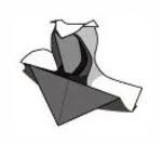 Bust