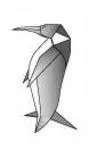 Emperor penguin