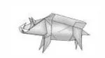 Wild boar