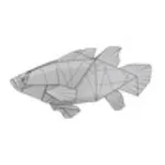 Giant grouper