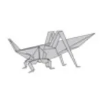 Longheaded locust