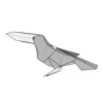 Toucan