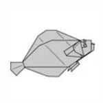 Flounder