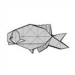 Bream