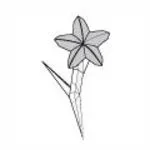 Flower and stem
