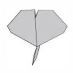 Ginkgo leaf