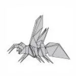 Wasp