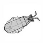 Cuttlefish