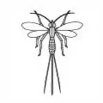 Wasp-equestrian