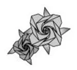 Rose 3