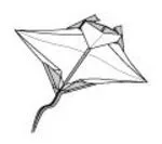 Manta