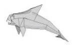 Vaquita
