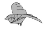 Flying bird