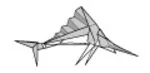 Sailfish