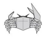 Fiddler crab