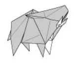 Wild boar