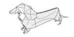 Dachshund