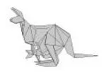 Kangaroo
