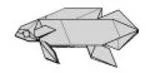 Agassizi's Dwarf Cichlid