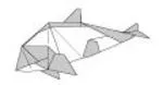 Commerson's dolphin