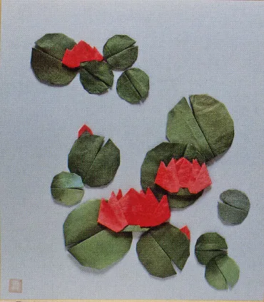 Water Lily