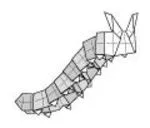 Wriggle caterpillar