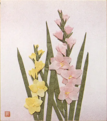 Gladiolus