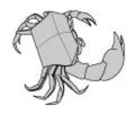 Field crab