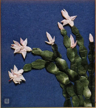 Christmas Cactus