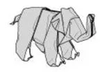 Asian elephant