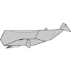 Sperm whale